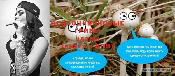 экстази Переславль-Залесский