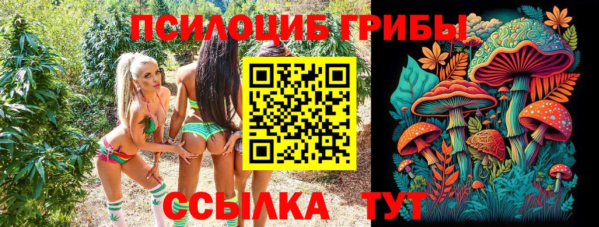 Псилоцибиновые грибы Cubensis  Псилоцибиновые грибы MAGIC MUSHROOMS  наркотики  Вход с VPN  Амурск 