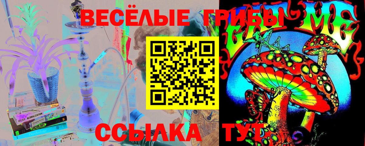 где найти наркотики  Амурск  Галлюциногенные грибы GOLDEN TEACHER  Псилоцибиновые грибы Cubensis 