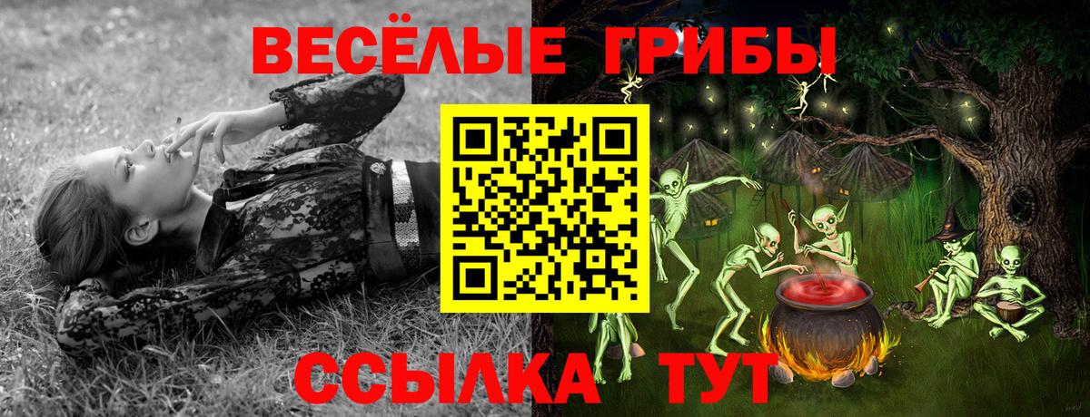 Галлюциногенные грибы GOLDEN TEACHER Амурск
